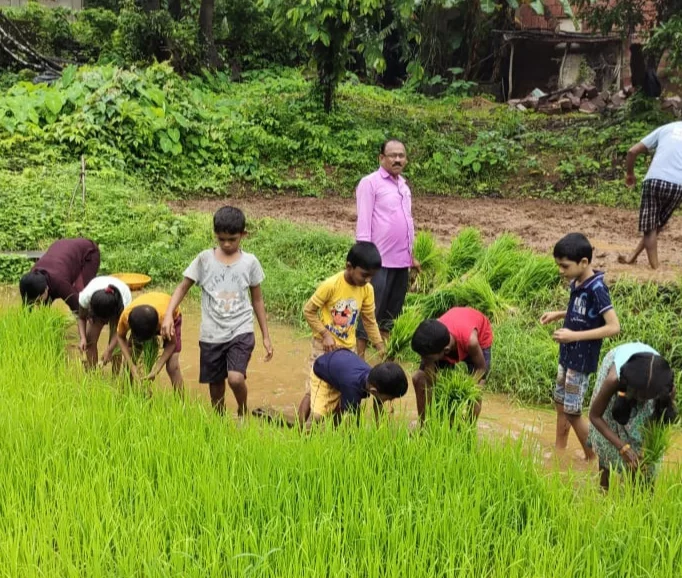 <em>चिंदर भटवाडी शाळेतील विद्यार्थी रमले शेतीत….!</em>