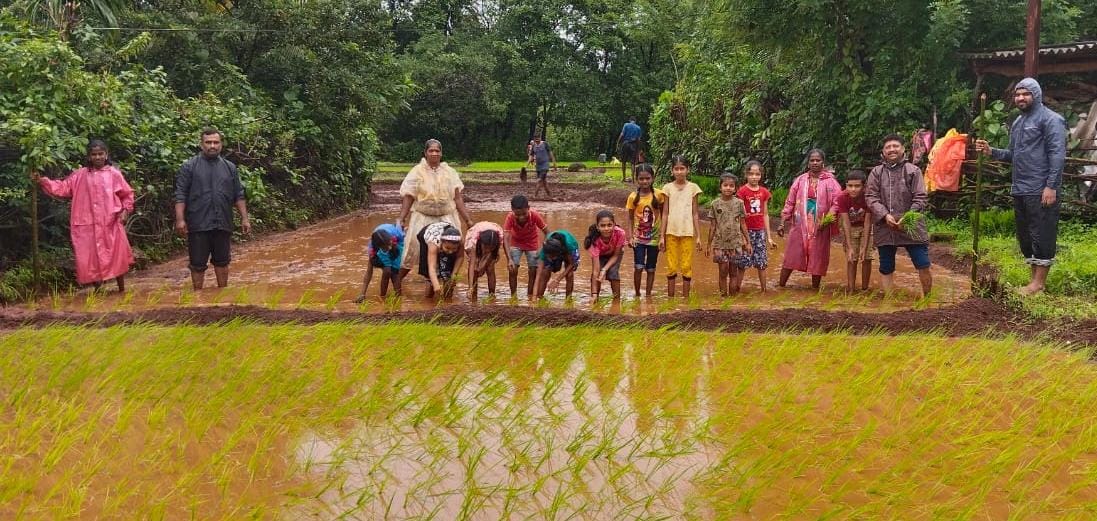 विद्यार्थ्यांनी घेतला भातशेती लागवडीचा अनुभव...!