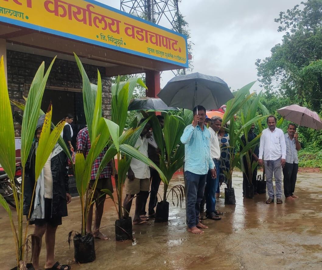वडाचापाट येथे नारळ रोपांचे वाटप..!