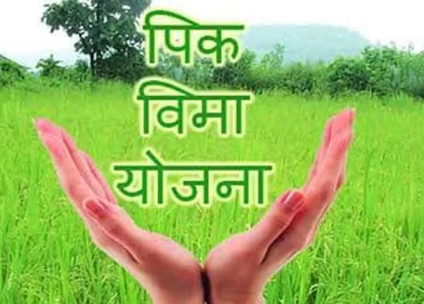 पिक विमा योजनेचा लाभ घेण्यासाठी ३१ जुलै पर्यंत मुदत..!