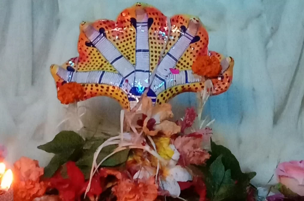 <em>सिंधुदुर्गातील मळगावमध्ये अनोख्या पध्दतीने होते नागपंचमी साजरी..!</em>