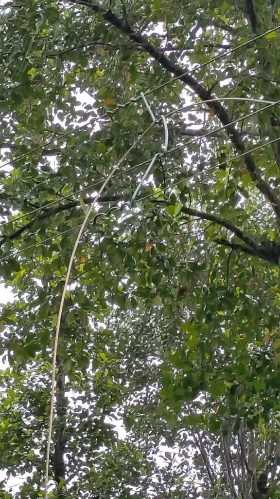 <em>पाडलोस-केणीवाडा येथे विद्युत वाहिनीला अचानक आग.</em>