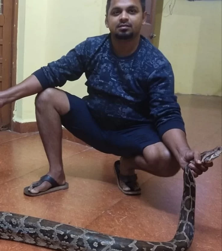सावंतवाडी येथे तब्बल ९.५ फुटी अजगराला जीवदान….!