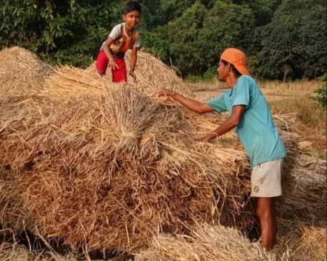 श्रावणचा अर्णव गवळी शाळकरी मुलांसाठी आदर्श….!