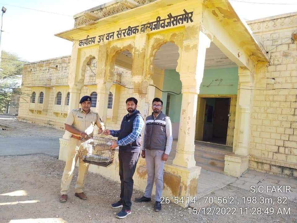 एकवार पंखावरुनी फिरला असा हात..( विशेष)