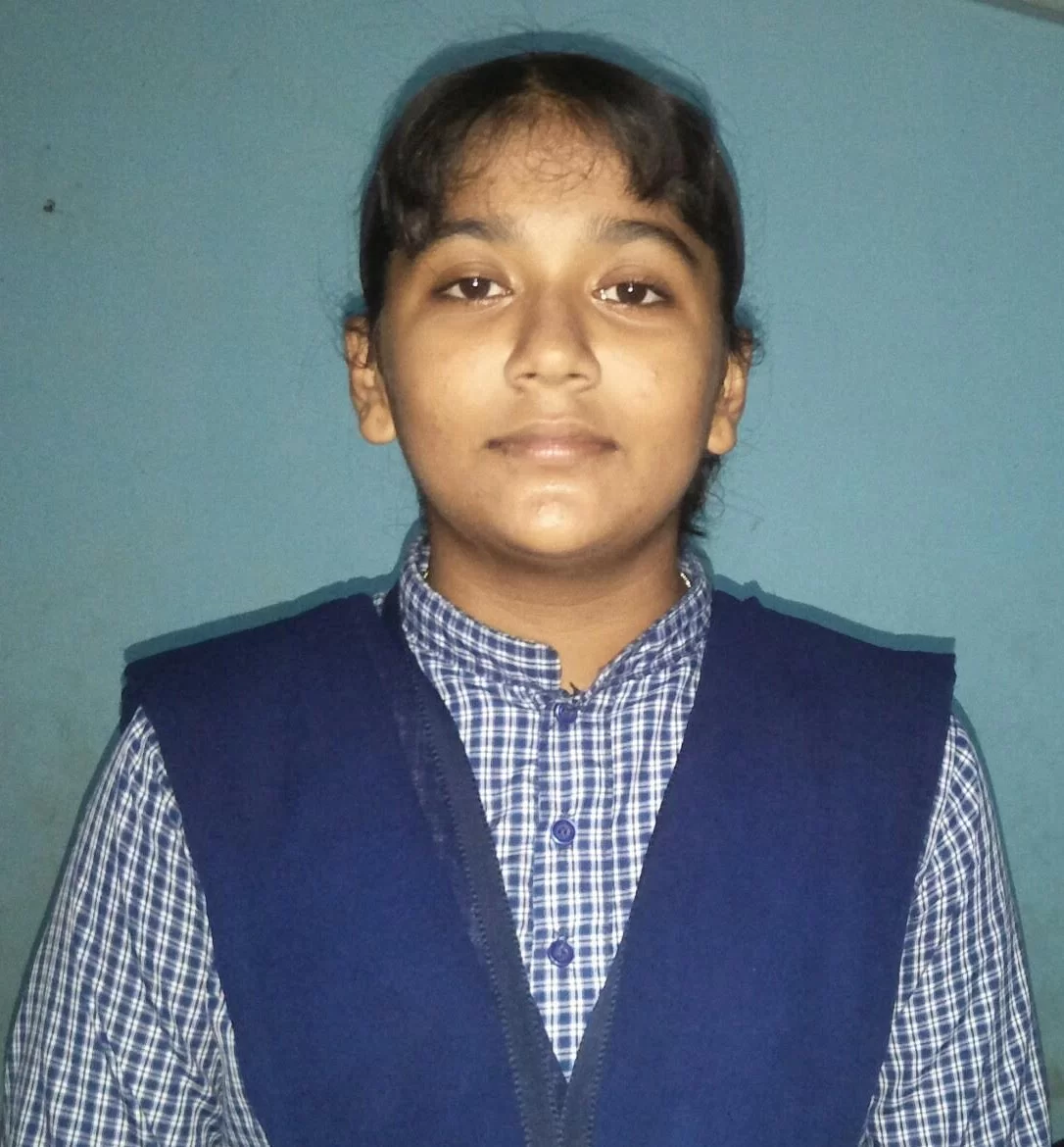 शिष्यवृत्ती परीक्षेत हेमांगी मेतरचे यश