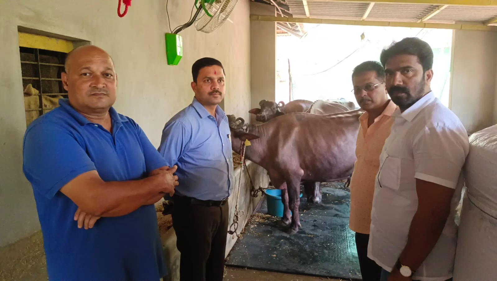 जिल्हा बँकेचे अध्यक्ष मनिष दळवी यांनी मसुरेत शेतकऱ्यांच्या गोठ्यावर जाऊन साधला संवाद.
