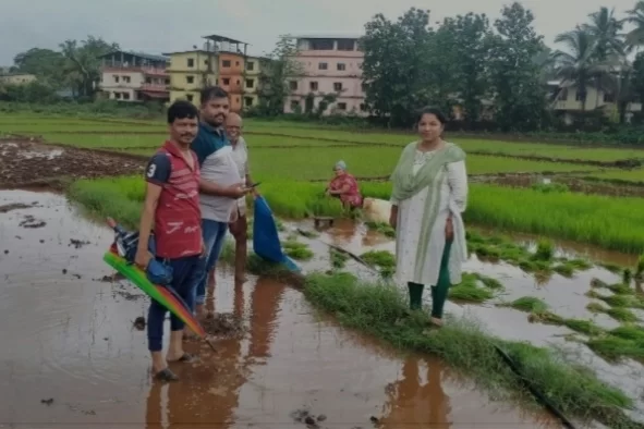 वैभववाडी तहसीलदार दिप्ती देसाई स्वतः पोहोचल्या शेतबांधावर..!
