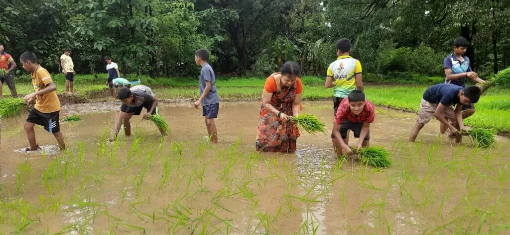 तरव्यातील तरबेज ; व्ही. एन.नाबर इंग्लिश स्कूल, बांदा येथील विद्यार्थी विद्यार्थिनींनी घेतला शेती मार्गदर्शक अनुभव.