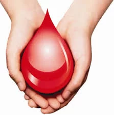 वायरी येथे दिप्ती प्रभाकर लुडबे यांच्या स्मरणार्थ रक्तदान शिबिराचे आयोजन.