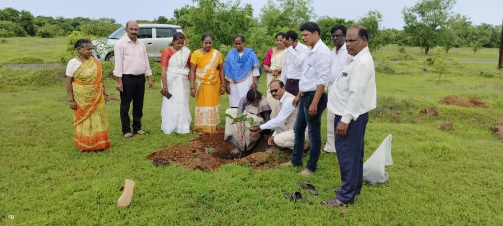 कांदळगांवात राज्य शासनाच्या कृषी विभागाकडून येथे काजू कलमांची लागवड.