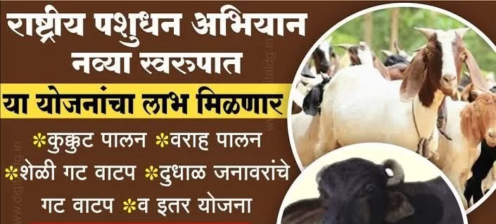 शेतकरी बनू शकणार उद्योजक ; शेळीपालन, कुक्कुटपालन वगैरेंसाठी भरघोस अनुदान.