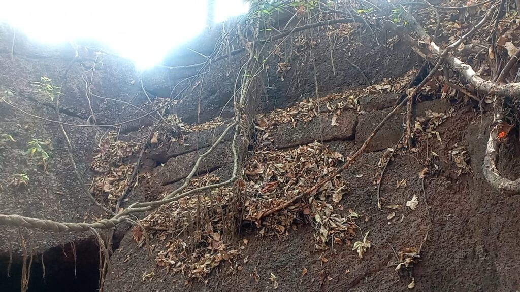 चाफेड येथील दुर्गाच्या गडावर दुर्ग मावळा प्रतिष्ठान आणि ग्रामस्थांची भ्रमंती ; लवकरच गडाची स्वच्छता करायचाही ग्रामस्थांचा मानस.