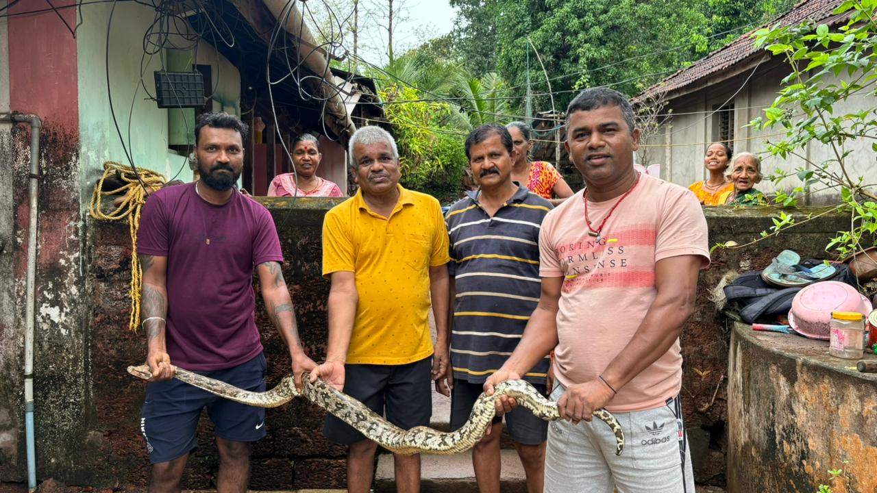 आठ फूट लांबीच्या अजगरास जीवदान…!