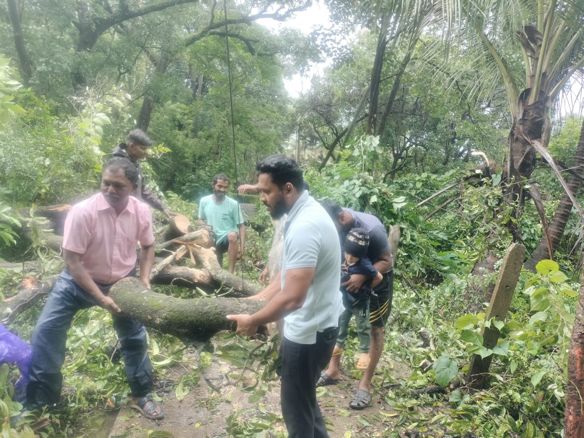 परुळेकर गल्लीत पडलेले झाड हटवले ; माजी बांधकाम सभापती यतीन खोत यांचे नगरपरिषद कर्मचारी वर्गासह मदतकार्य.