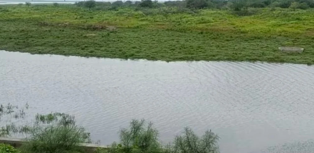जायकवाडी धरण क्षेत्रात झपाट्याने पाणी वाढलं, शेतकऱ्यांची लगबग सुरू