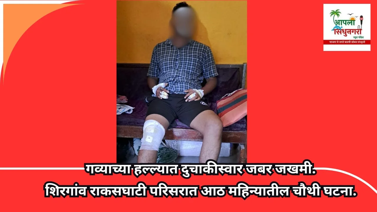 गव्याच्या हल्ल्यात दुचाकीस्वार जखमी.