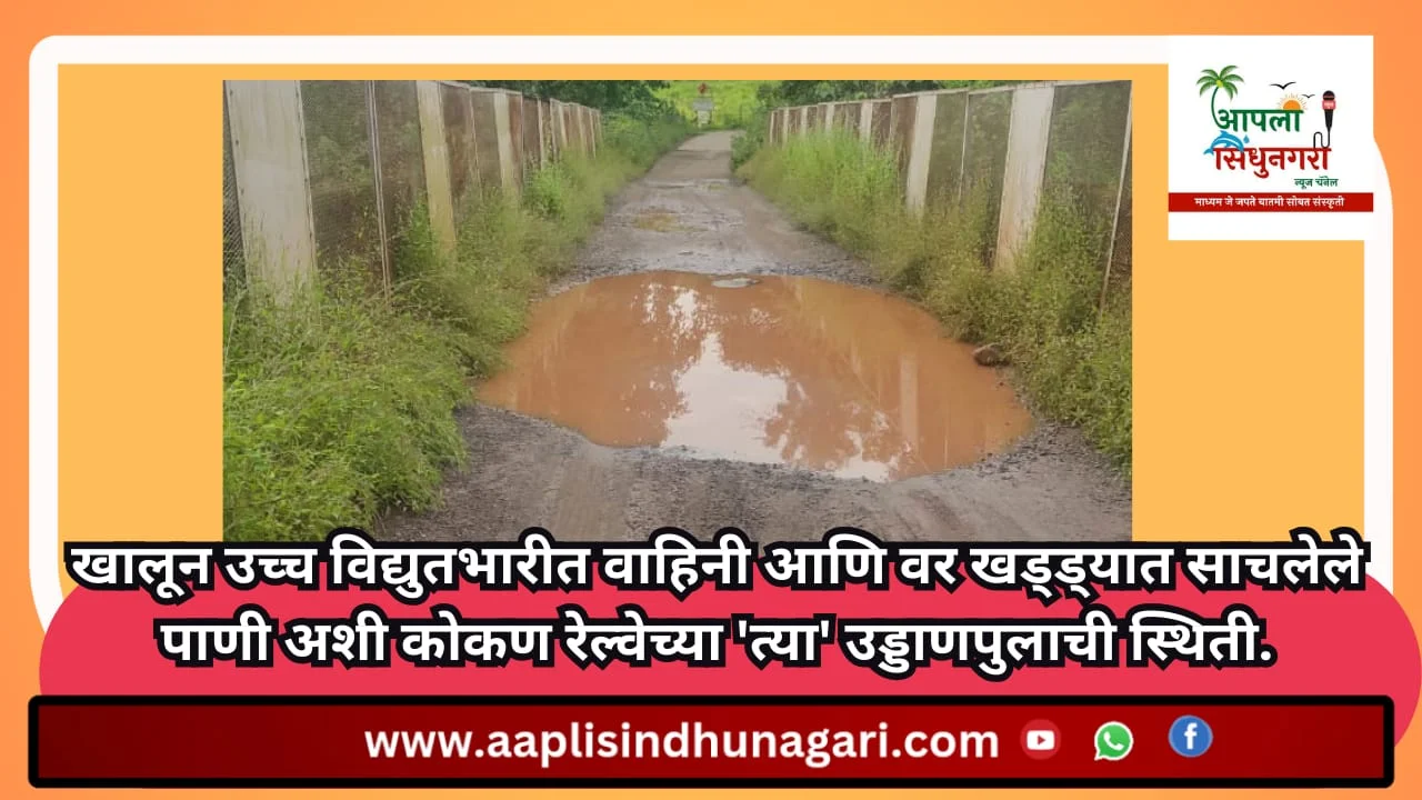 खालून उच्च विद्युतभारीत वाहिनी आणि वर खड्ड्यात साचलेले पाणी अशी कोकण रेल्वेच्या 'त्या' उड्डाणपुलाची स्थिती.