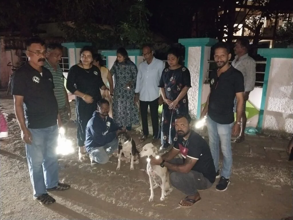 मालवणात वाईल्ड लाईफ सेस्क्यूअर सिंधुदुर्ग संस्थेच्या वतीने भटक्या जनावरांना रेडियम बेल्ट लावणे उपक्रम.