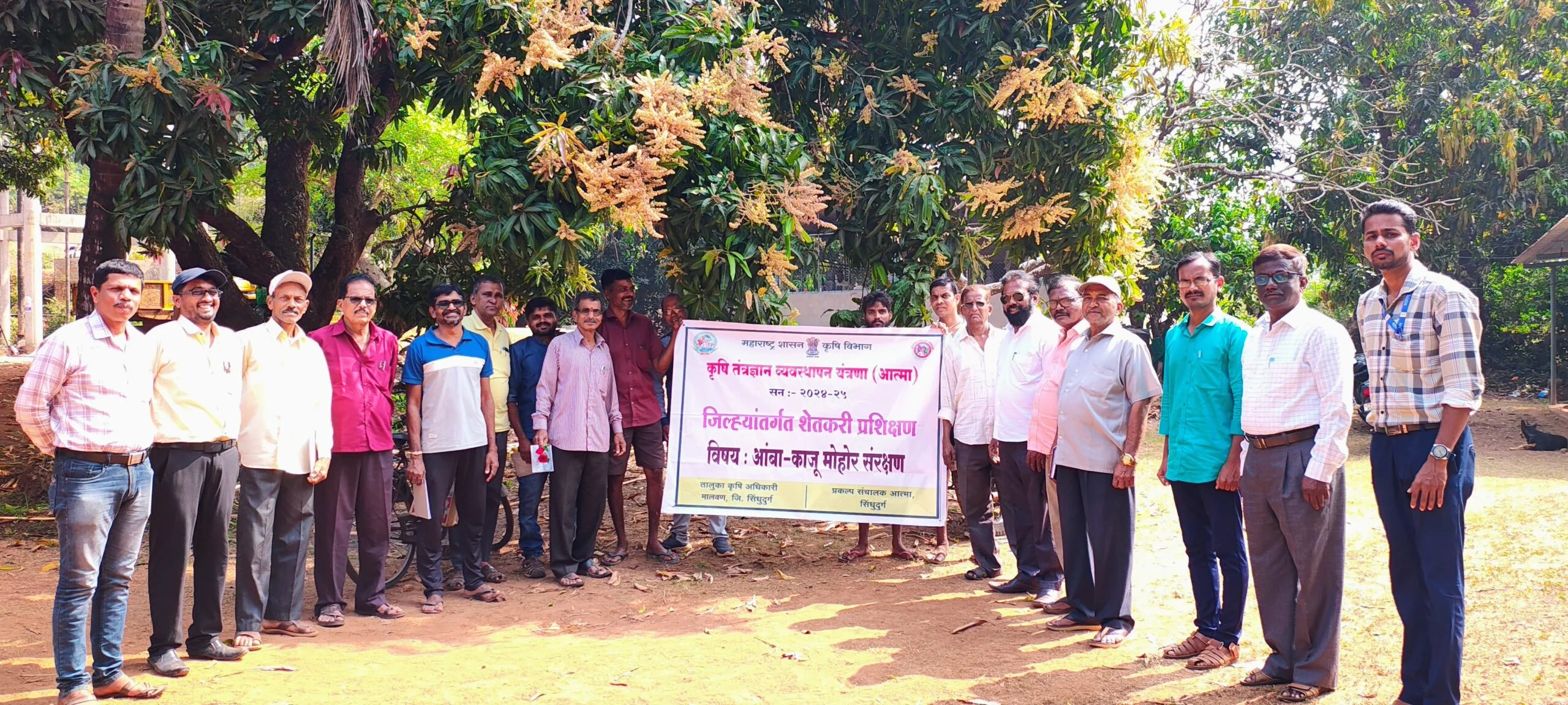 वायरी - मालवण येथे आंबा मोहोर संरक्षण कार्यक्रम.