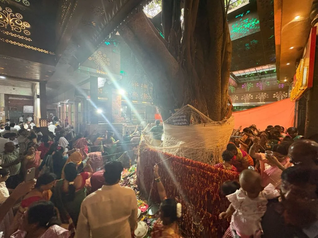 अक्कलकोट श्री वटवृक्ष स्वामी महाराज मंदिरात वटपौर्णिमा सण उत्साहात.