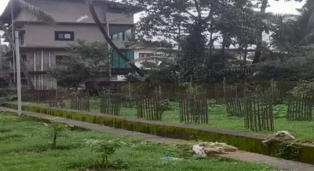 सावंतवाडीत माकडांच्या कळपाचा त्रास.